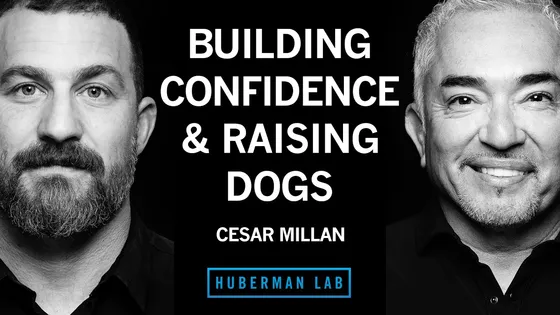 Cesar Millan says learning how to walk your dog eliminates 90 percent of behavior problems